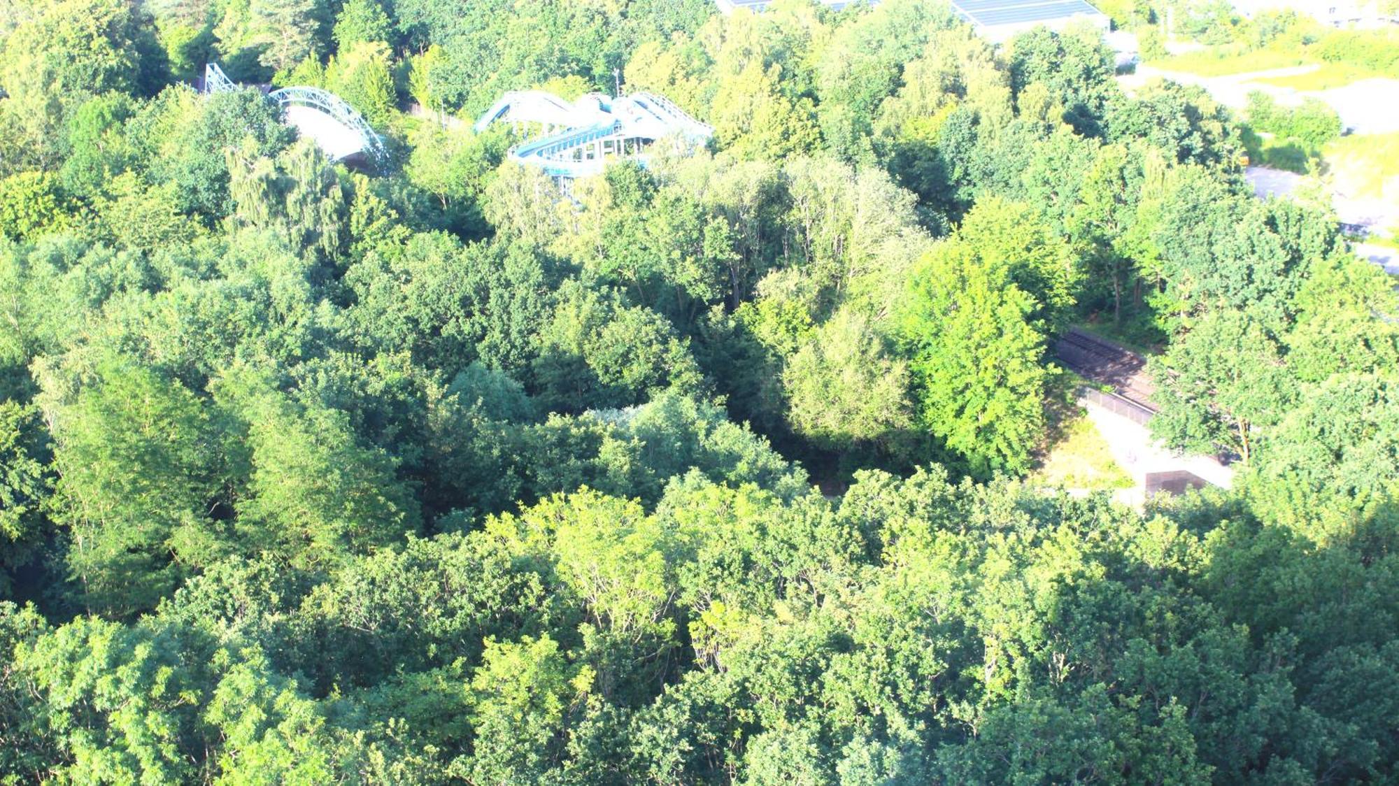 Zum Wohlfuhlen Fur 4 Erwachsene +1 Kind, Schwimmbad Vor Der Tur Tiere Erlaubt Apartment Sierksdorf Exterior photo